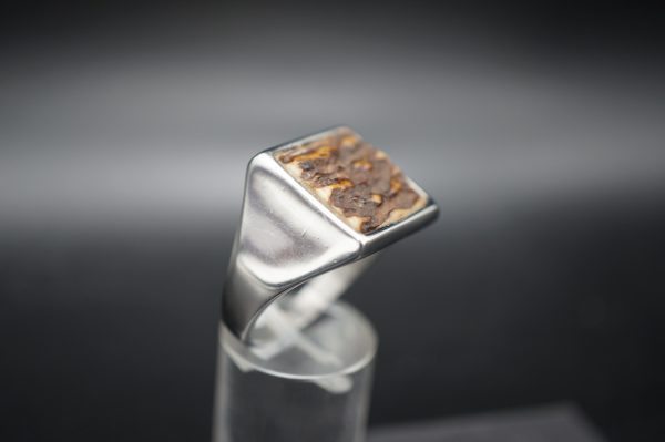 Ring Hirschhorn 21mm – Bild 7