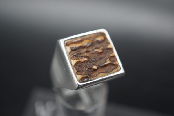 Ring Hirschhorn 21mm – Bild 2
