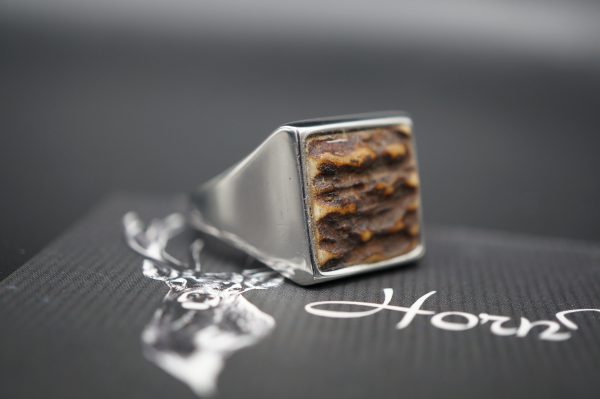 Ring Hirschhorn 21mm