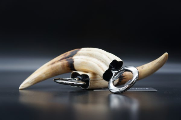 Bieröffner Warzenschwein  Set – Bild 5