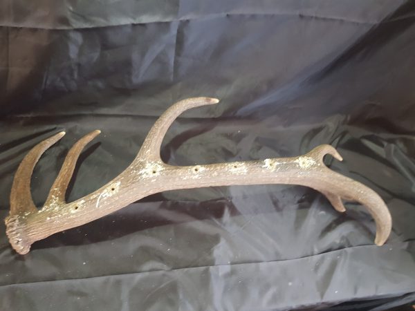 Schnapsbar 8er Hirsch – Bild 3