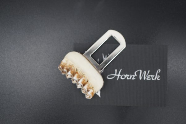 Gurtwarnstopper Reh – Bild 5