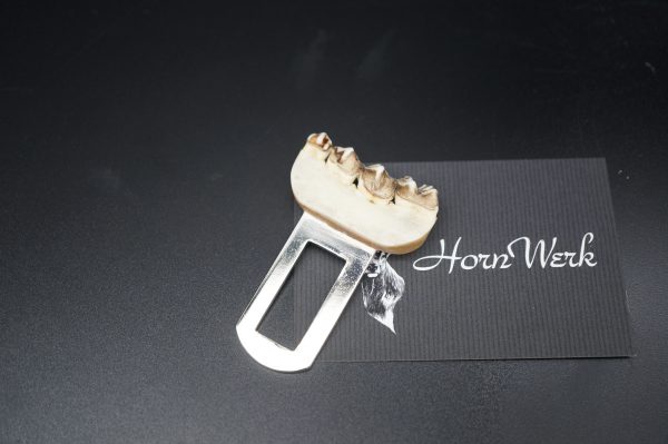 Gurtwarnstopper Reh – Bild 6