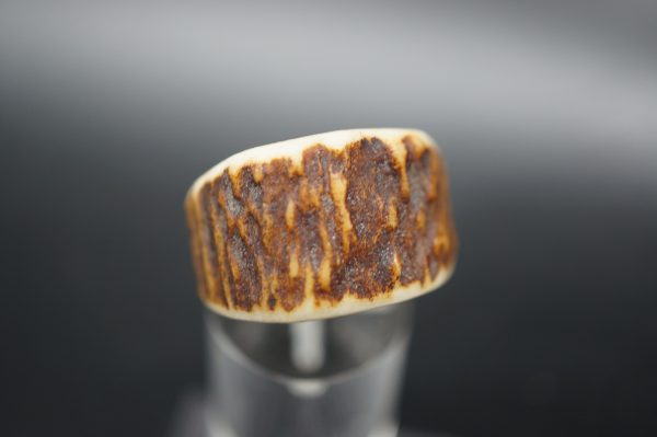 Ring Hirschhorn 19,1mm – Bild 2