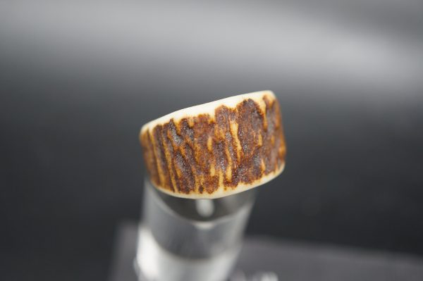 Ring Hirschhorn 19,1mm – Bild 6