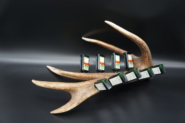 Jägermeister Bar 9er Hirsch – Bild 10