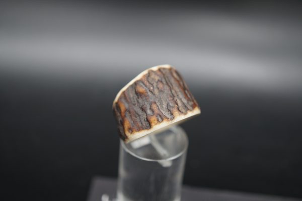 Ring Hirschhorn 17mm – Bild 5