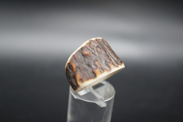 Ring Hirschhorn 17mm