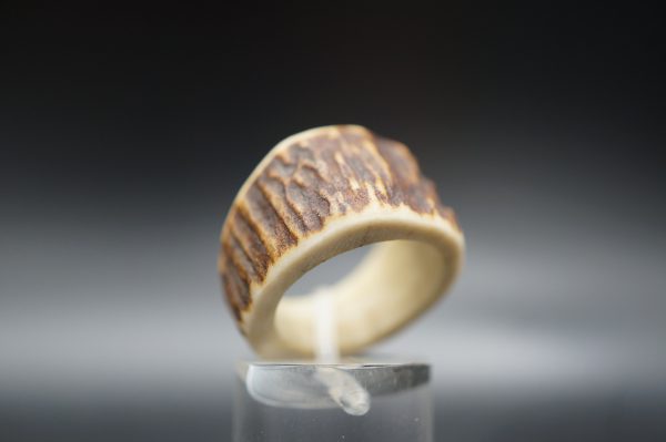 Ring Hirschhorn 19,1mm