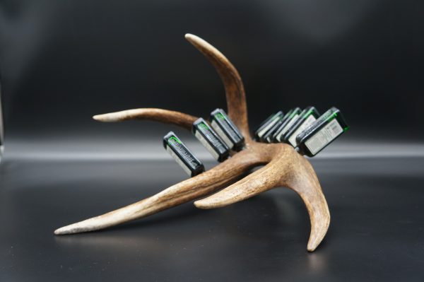 Jägermeister Bar 9er Hirsch – Bild 9