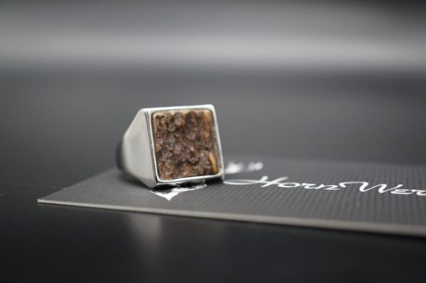 Ring Hirschhorn 20mm – Bild 2
