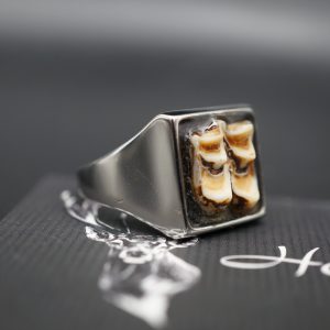 Ring Rehzähne 21mm