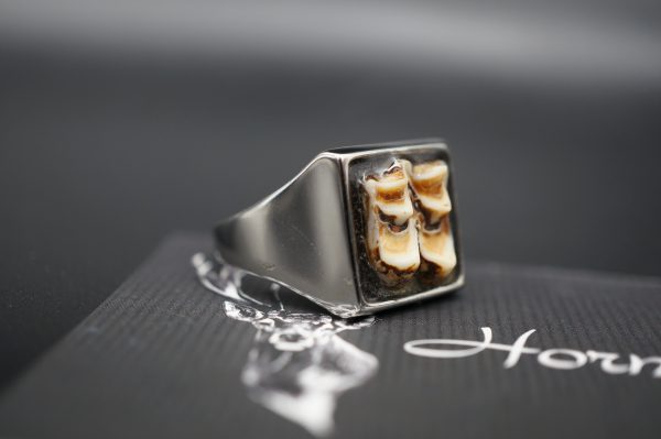 Ring Rehzähne 21mm