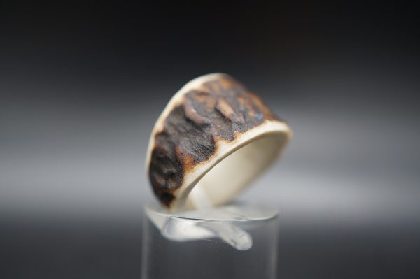 Ring Hirschhorn 16mm