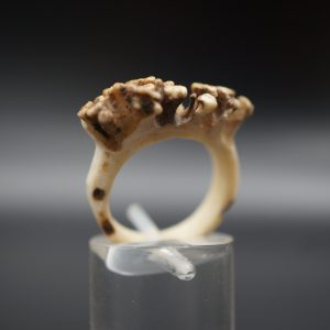 Ring Rehrose 17mm