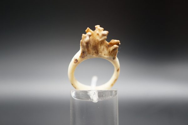 Ring Rehrose 17mm – Bild 5