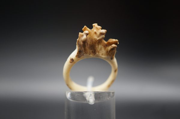 Ring Rehrose 17mm – Bild 3