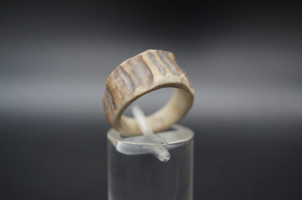 Ring Hirschhorn 16mm