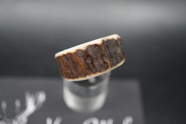 Ring Hirschhorn 19,5mm – Bild 2