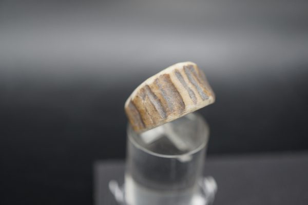 Ring Hirschhorn 16mm – Bild 2