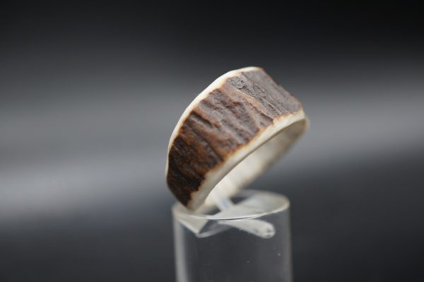 Ring Hirschhorn 19,5mm