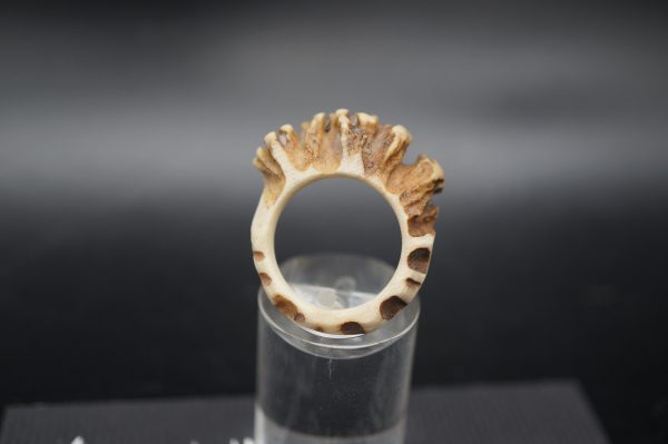 Ring Rehrose 15mm – Bild 2