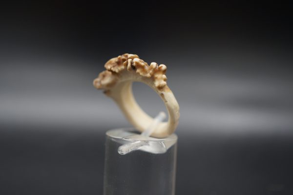 Ring Rehrose 15mm – Bild 3