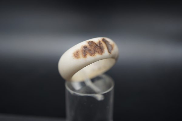 Ring Hirschhorn - 18mm