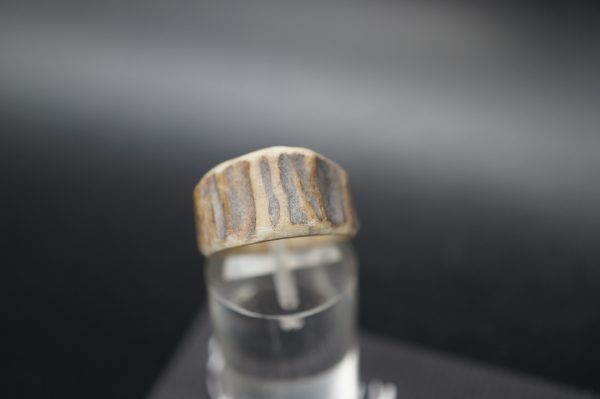 Ring Hirschhorn 16mm – Bild 3