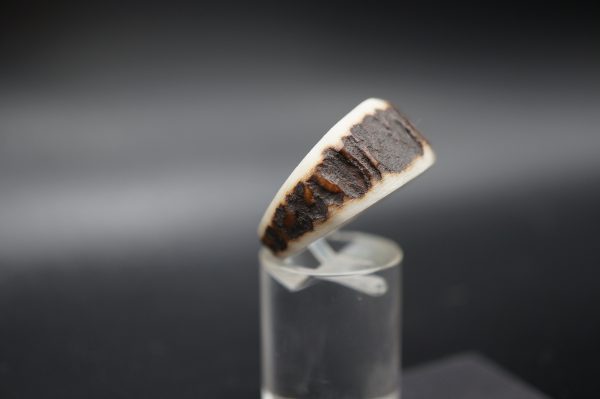 Ring Hirschhorn 19mm – Bild 4