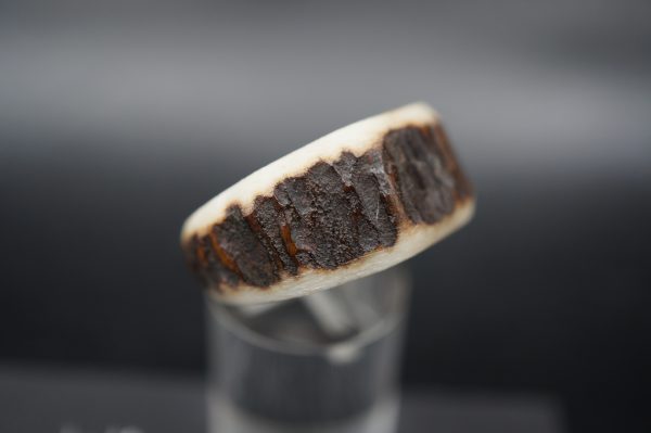 Ring Hirschhorn 19mm – Bild 5