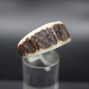 Ring Hirschhorn 19mm