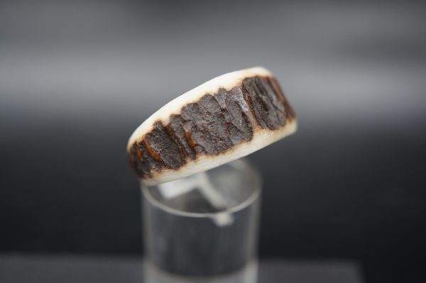 Ring Hirschhorn 19mm