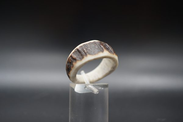 Ring Hirschhorn 19mm – Bild 2
