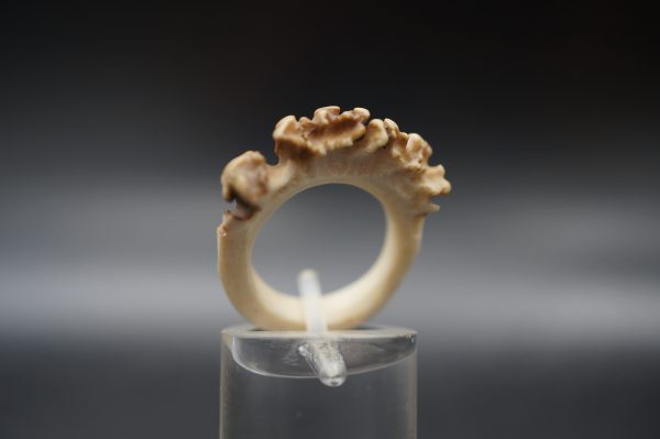 Ring Rehrose 15mm