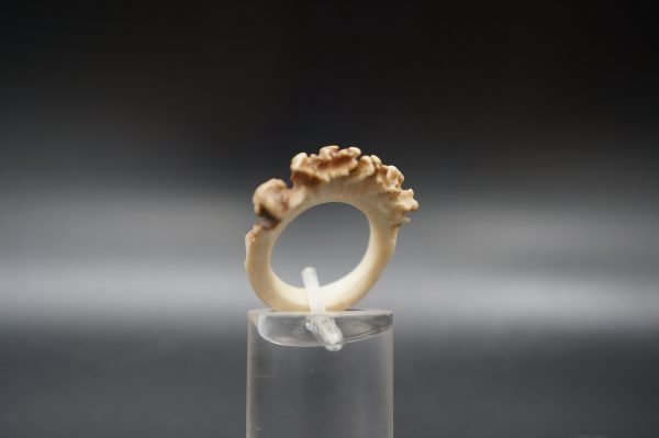 Ring Rehrose 15mm – Bild 4