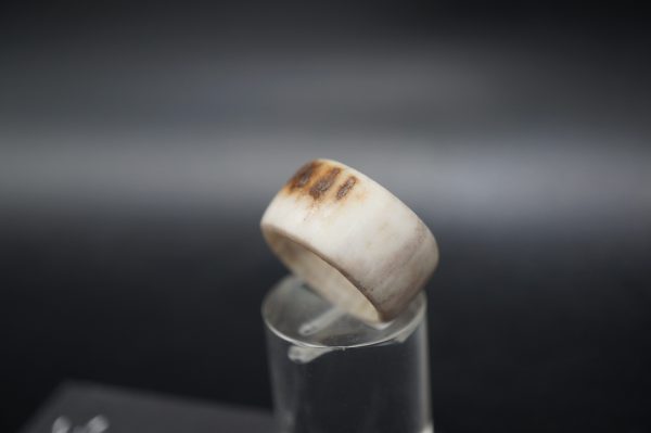 Ring Hirschhorn 16mm – Bild 2