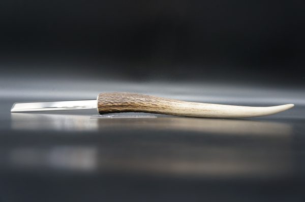 Brieföffner Hirschhorn – Bild 2