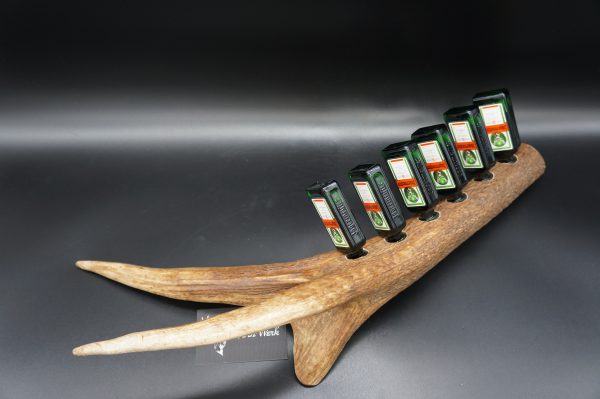 Jägermeister Bar 6er Hirsch – Bild 7