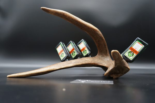 Jägermeister Bar 7er Hirsch – Bild 5
