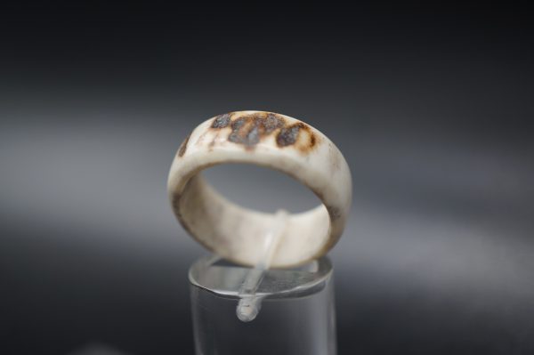 Ring Hirschhorn 20mm – Bild 2