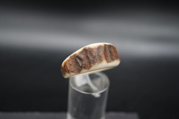 Hirschhornring 20mm – Bild 2