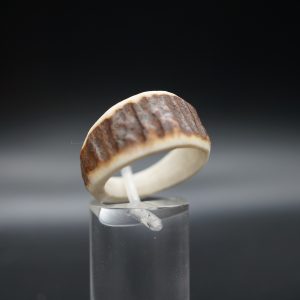 Hirschhornring 20mm