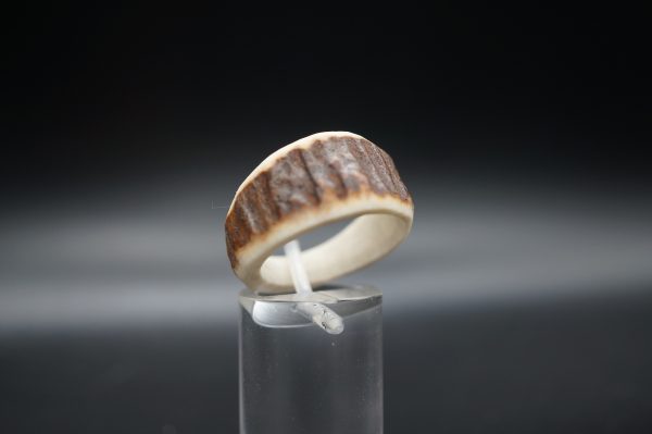 Hirschhornring 20mm