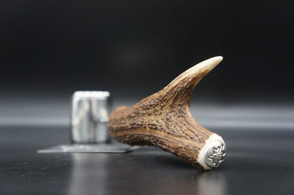 Fleischhammer Hirsch – Bild 6