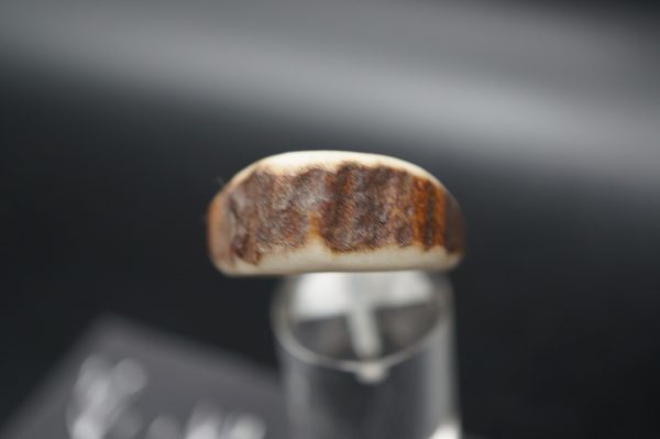 Hirschhornring 20mm – Bild 5