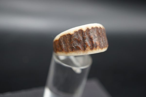 Hirschhornring 20mm – Bild 3