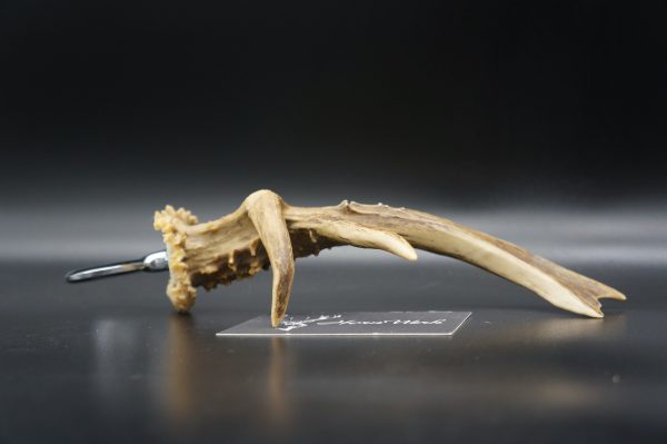 Flaschenöffner Reh – Bild 5