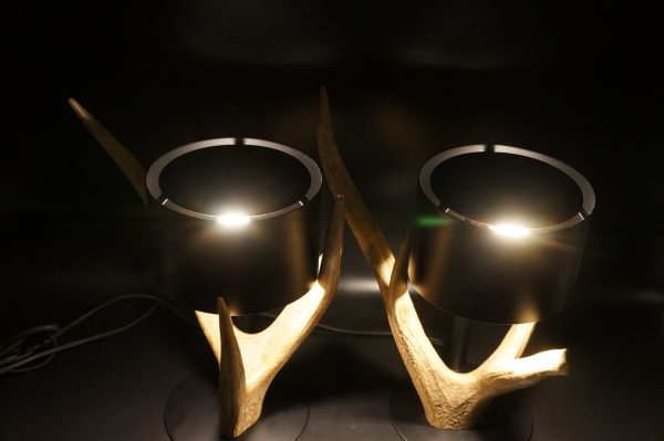 Lampen Set Hirsch – Bild 6