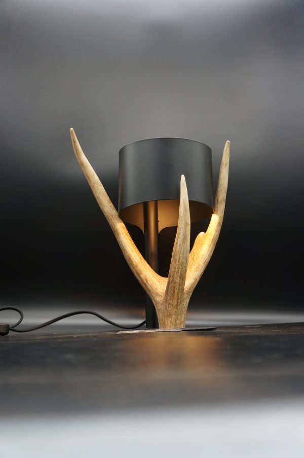 Lampen Set Hirsch – Bild 8